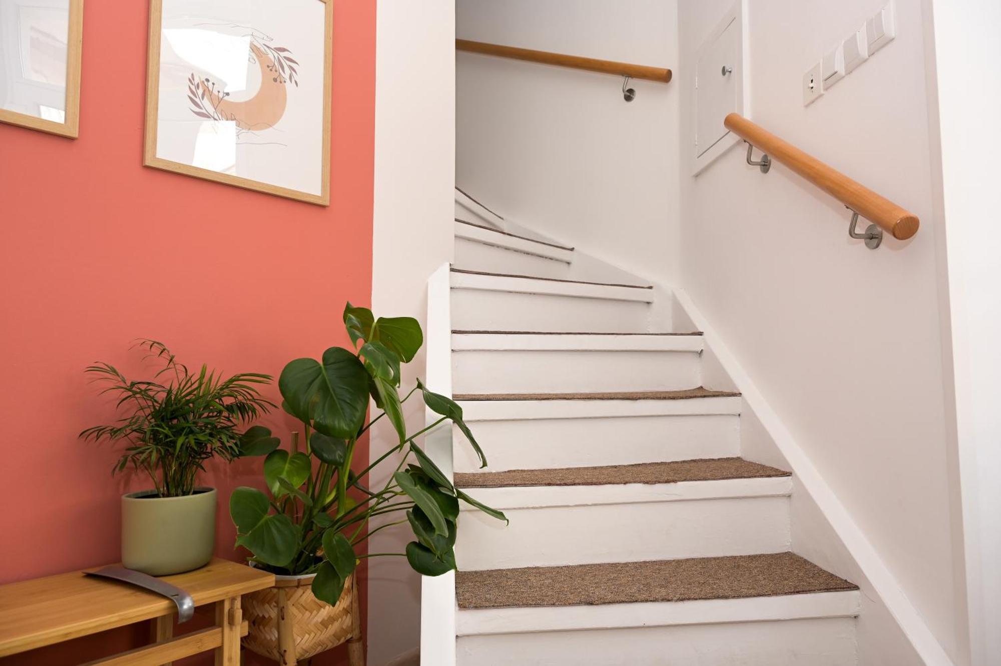 Apartment Zenden *